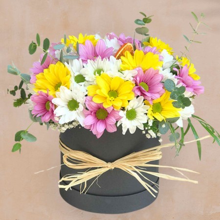 Mixed Daisy Flower Box